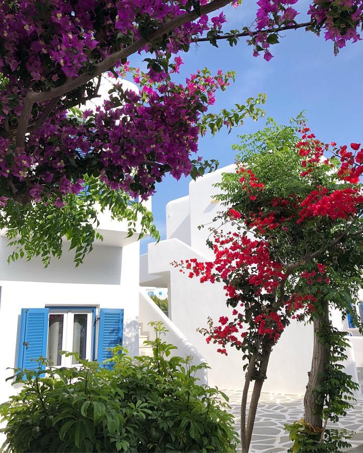 Acrogiali Beachfront Hotel Mykonos Platys Gialos  Екстер'єр фото